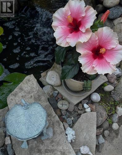 296 Weber Street E, Kitchener, ON - Outdoor