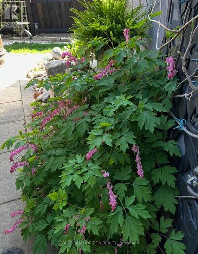 296 Weber Street E, Kitchener, ON - Outdoor