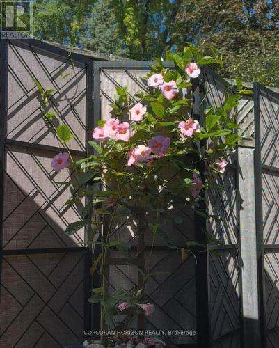 296 Weber Street E, Kitchener, ON - Outdoor