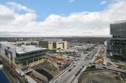 View - 