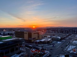 View - 