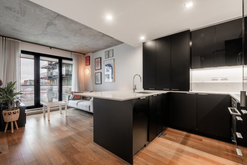 914-700 Rue St-Paul O.  Montréal (Ville-Marie), QC H3C 0X2