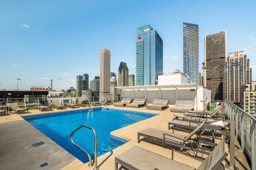 Piscine - 914-700 Rue St-Paul O., Montréal (Ville-Marie), QC - Outdoor With In Ground Pool