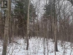 LT 45 CON 7 EBR LINDSAY Northern Bruce Peninsula, ON N0H 1Z0