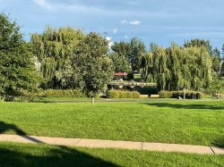 Vue sur l'eau - 