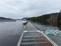 Lot 10 Ingersoll, Quatsino, BC 