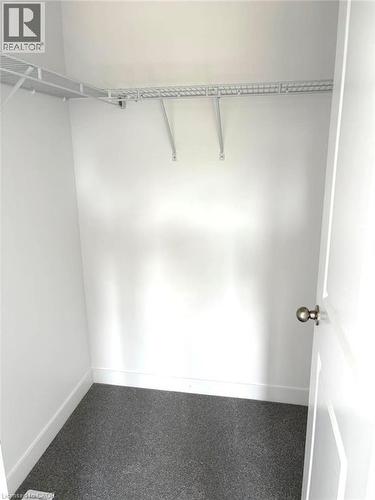 Spacious closet featuring carpet - 7 Pin Oak Common, Cambridge, ON - Indoor With Storage