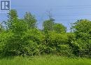 Pt Lt 4 E/S Helena Street, Fort Erie (Lakeshore), ON 