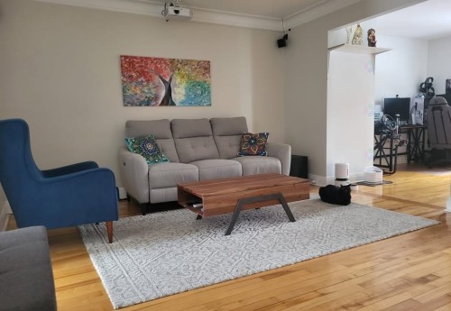 Living Room - 6564 20E Avenue, Montréal (Rosemont/La Petite-Patrie), QC - Indoor Photo Showing Living Room