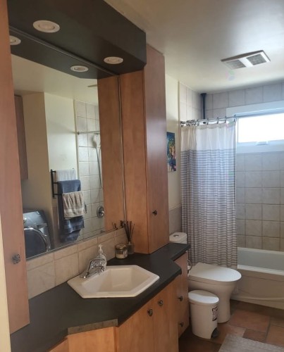 Bathroom - 6564 20E Avenue, Montréal (Rosemont/La Petite-Patrie), QC - Indoor Photo Showing Bathroom