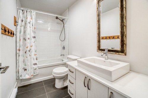 Salle de bains - 202-25 Rue Bélanger, Montréal (Rosemont/La Petite-Patrie), QC - Indoor Photo Showing Bathroom