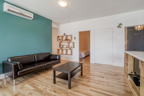 Salon - 202-25 Rue Bélanger, Montréal (Rosemont/La Petite-Patrie), QC - Indoor Photo Showing Living Room