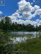 LOT 88 - 248 PINNACLE HILL ROAD Alnwick/Haldimand, ON K0K 1M0