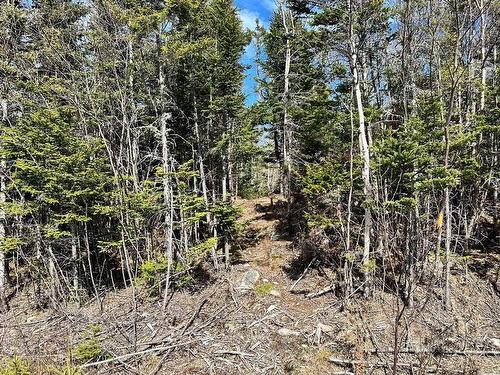 41 Blind Bay Drive, Blind Bay, NS 