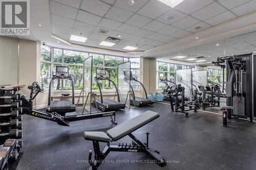 309 - 1 Palace Pier Court, Toronto, ON - Indoor Photo Showing Gym Room