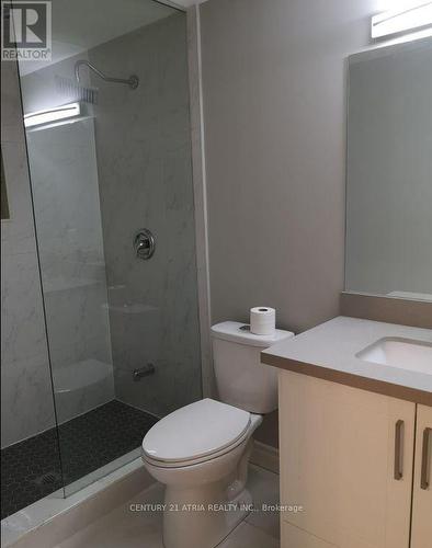 Lower - 46 Willowbrook Road, Markham, ON - Indoor Photo Showing Bathroom