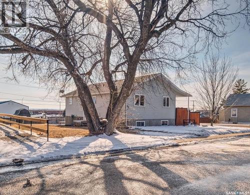 304 2Nd Avenue E, Biggar, SK - Outdoor