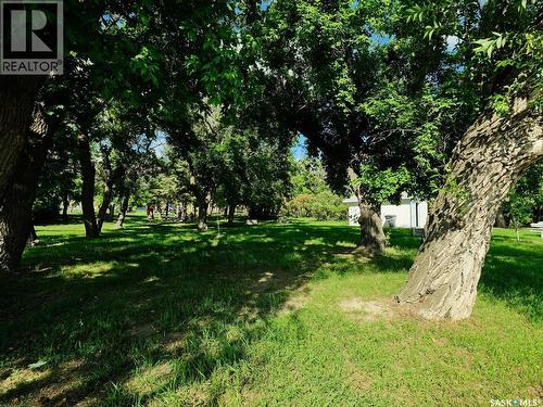 304 2Nd Avenue E, Biggar, SK - Outdoor