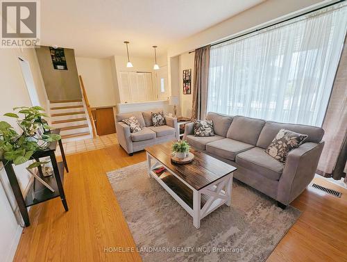 14 Lorraine Drive, Hamilton, ON - Indoor Photo Showing Living Room