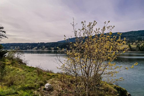 111 Morningside Rd, Salt Spring, BC 