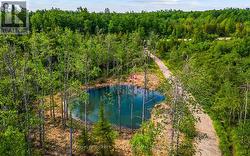 429571 8TH B CONCESSION  Grey Highlands, ON N0C 1M0