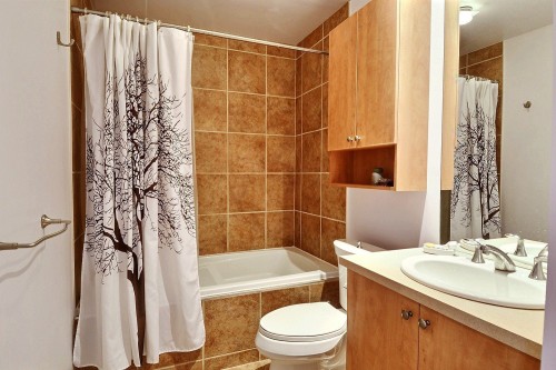 Salle de bains - 307-2 Place Des Jardins-Des-Vosges, Montréal (Verdun/Île-Des-Soeurs), QC - Indoor Photo Showing Bathroom