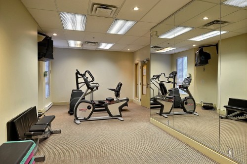 Salle d'exercice - 307-2 Place Des Jardins-Des-Vosges, Montréal (Verdun/Île-Des-Soeurs), QC - Indoor Photo Showing Gym Room