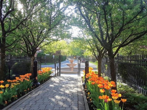 Façade - 307-2 Place Des Jardins-Des-Vosges, Montréal (Verdun/Île-Des-Soeurs), QC - Outdoor
