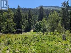 7160 China Valley Road Chase, BC V0E 1W1