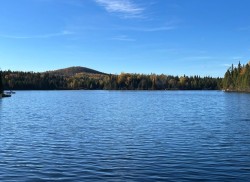 Bord de l'eau - 