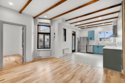 6972 Rue St-Dominique Montréal (Rosemont/La Petite-Patrie), QC H2S 3B4