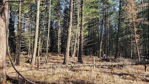 Rosen Heights Road, Jaffray, BC 