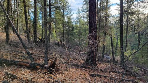 Rosen Heights Road, Jaffray, BC 