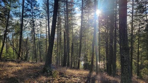 Rosen Heights Road, Jaffray, BC 