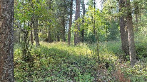 2870 Rosen Heights Road, Jaffray, BC 