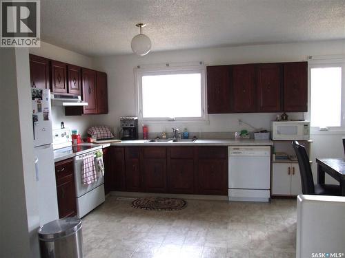 524 1St Street W, Leader, SK - Indoor Photo Showing Kitchen With Double Sink