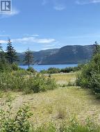 45 Main Road  York Harbour, NL A0L 1L0