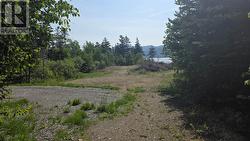45 Main Road York Harbour, NL A0L 1L0