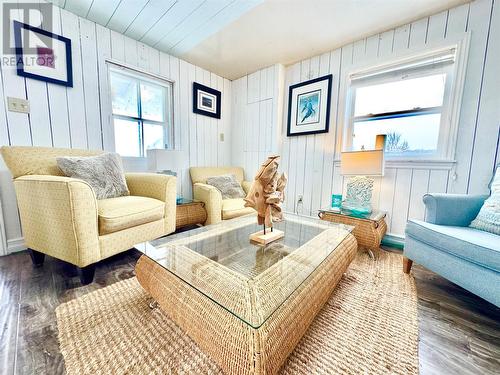 40 Loop Road, Port Albert, NL - Indoor Photo Showing Living Room