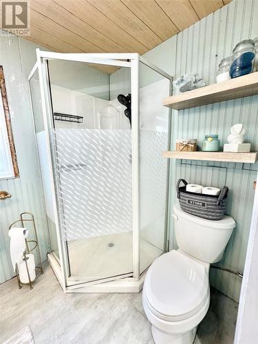 40 Loop Road, Port Albert, NL - Indoor Photo Showing Bathroom