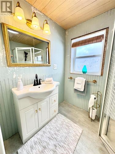 40 Loop Road, Port Albert, NL - Indoor Photo Showing Bathroom