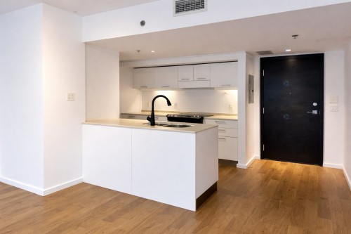 Cuisine - 706-350 Boul. De Maisonneuve O., Montréal (Ville-Marie), QC - Indoor Photo Showing Kitchen With Double Sink