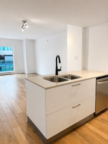 Cuisine - 706-350 Boul. De Maisonneuve O., Montréal (Ville-Marie), QC - Indoor Photo Showing Kitchen With Double Sink