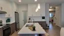 226 Granite Grove Rd, Winnipeg, MB 