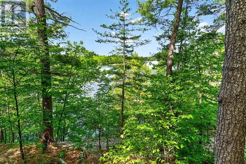 450 Brooks Point Road, Rideau Lakes, ON - Outdoor