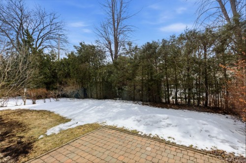 Cour - 974 Ch. Macnaughton, Mont-Royal, QC - Outdoor