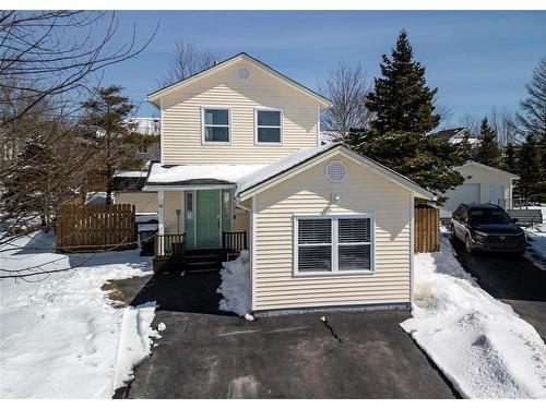 41 Browne Crescent, St.John'S, NL 