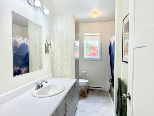 Salle de bains - 2602 Rue Mountain, Val-David, QC - Indoor Photo Showing Bathroom