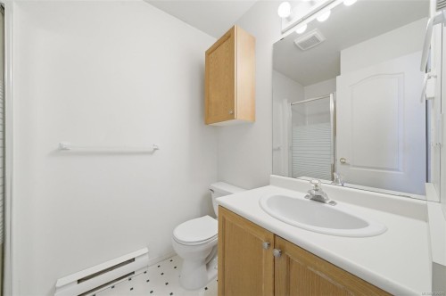 306-330 Brae Rd, Duncan, BC - Indoor Photo Showing Bathroom