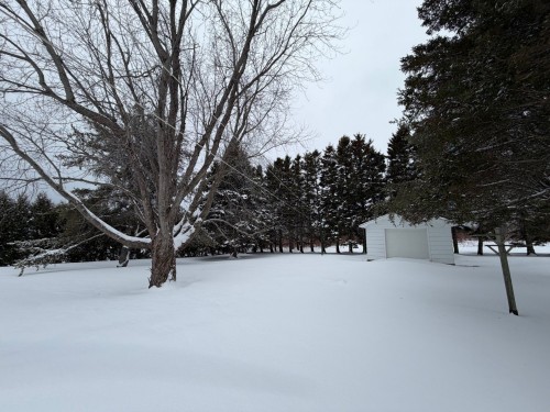 Cour - 164 Rue St-Pie-X, Paspébiac, QC - Outdoor